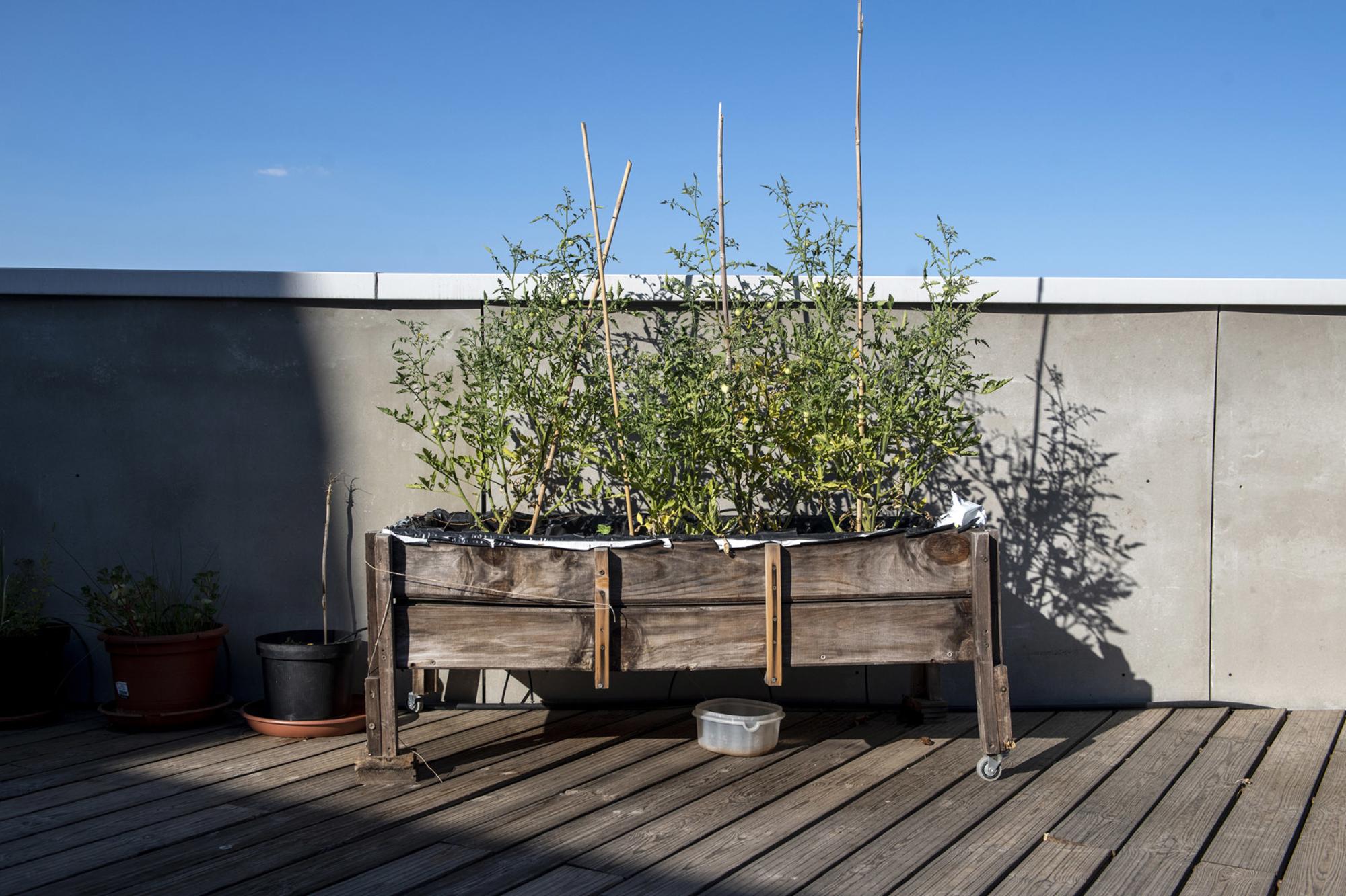 Entrepatios fotogalería - 6